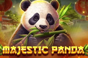Người chơi trải nghiệm cá cược trực tuyến trên điện thoại tại Việt Nam
